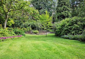 Optimiser l'expérience du jardin à Rocamadour