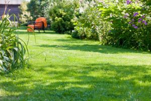 travaux jardin et paysage Rocamadour